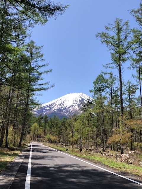Gw初日は 春の山菜を採りに富士吉田 富士吉田 山梨県 の旅行記 ブログ By Genkiさん フォートラベル