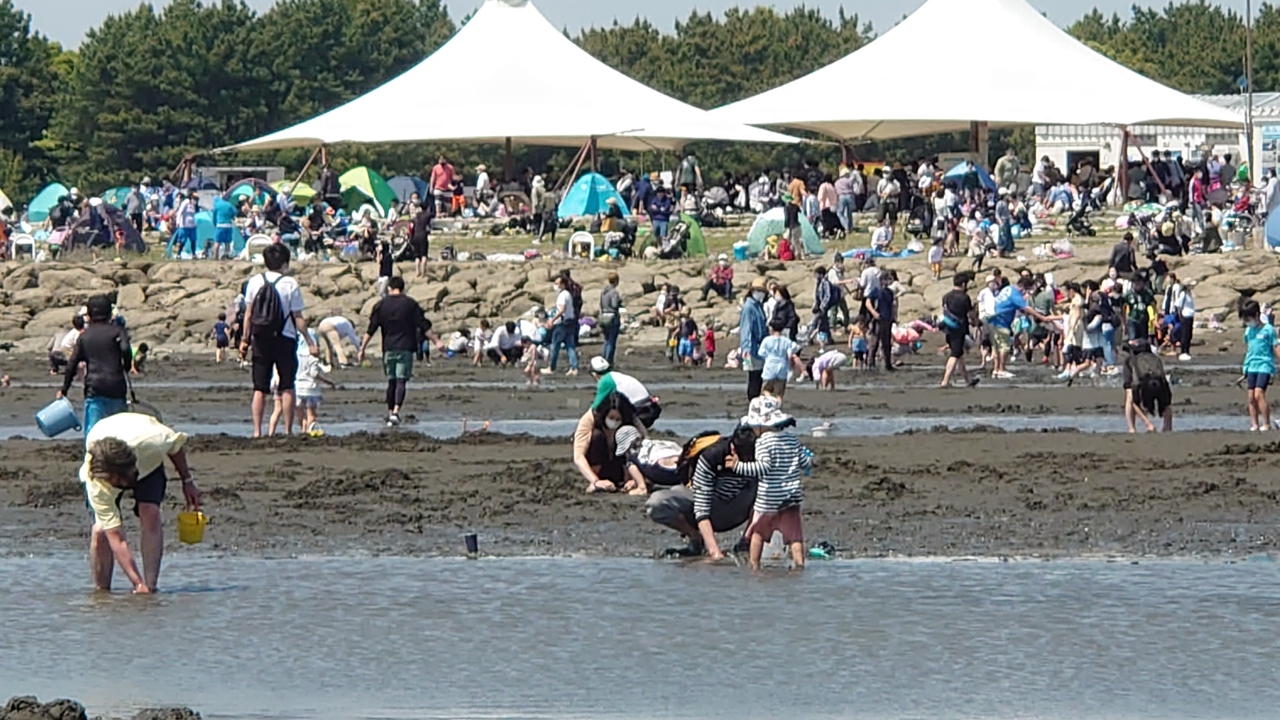 葛西臨海公園でカニ釣りは断念 でもカニつかみ取り 磯遊びで大満足の1日 葛西 東京 の旅行記 ブログ By まんべんなくさん フォートラベル 葛西臨海公園でカニ釣りは断念 でもカニつかみ取り 磯遊びで大満足の1日 葛西 東京 の旅行記 ブログ By まんべんなくさん フォートラベル