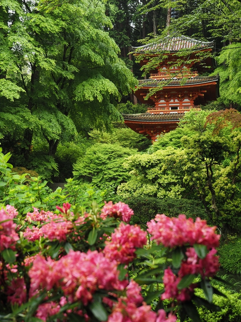 22年春 奈良の花と新緑撮影旅行１０ 木津 加茂 京都 の旅行記 ブログ By 屋号 マジムンさん フォートラベル