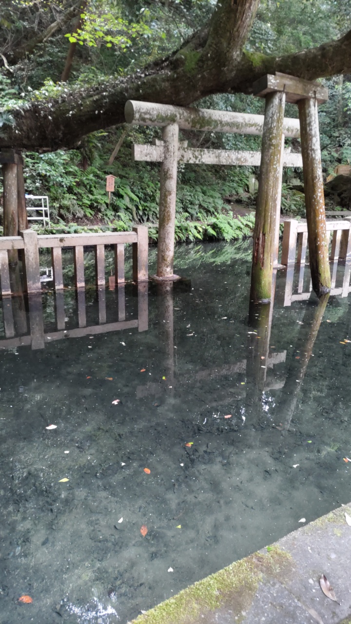 初夏の茨城 潮来のあやめと鹿島神宮の日帰り散歩 鹿島 茨城県 の旅行記 ブログ By ちぇぶさん フォートラベル