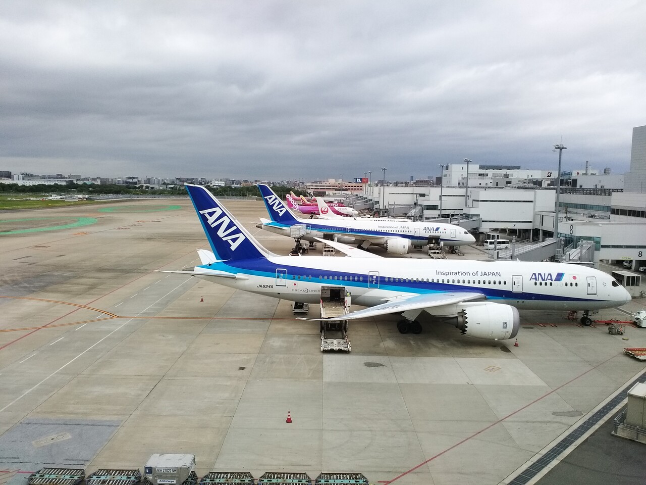 福岡の休日 福岡空港に行ってきました 沢山の飛行機を食事をしながら見物しました 博多 福岡県 の旅行記 ブログ By Sakuraさん フォートラベル
