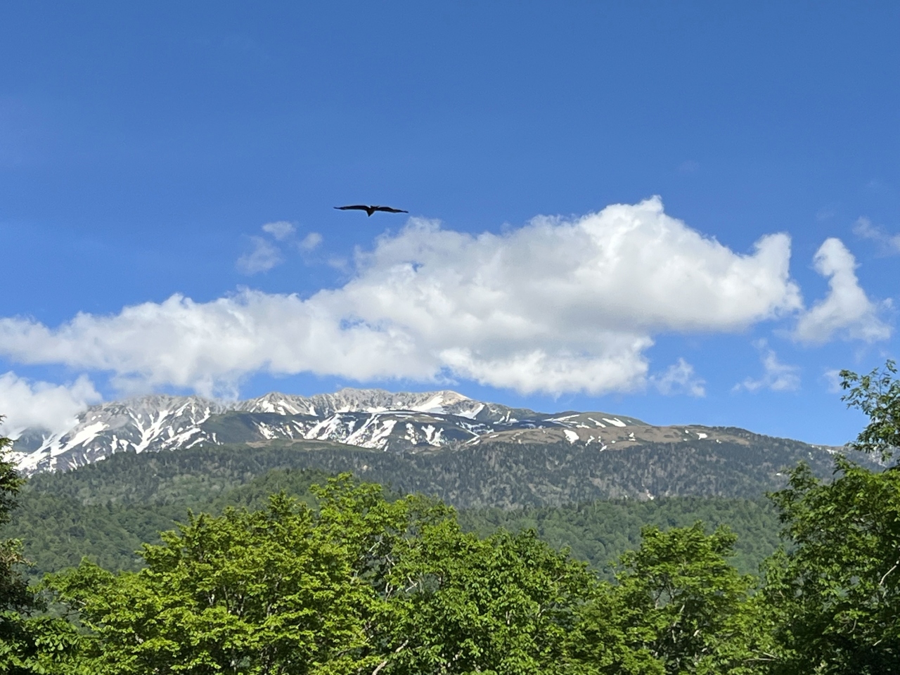 ドライブ 鉄道の旅 1日目 東京から白骨温泉 有峰林道経由で上越市へ 富山県の旅行記 ブログ By 迷い猫同好会さん フォートラベル