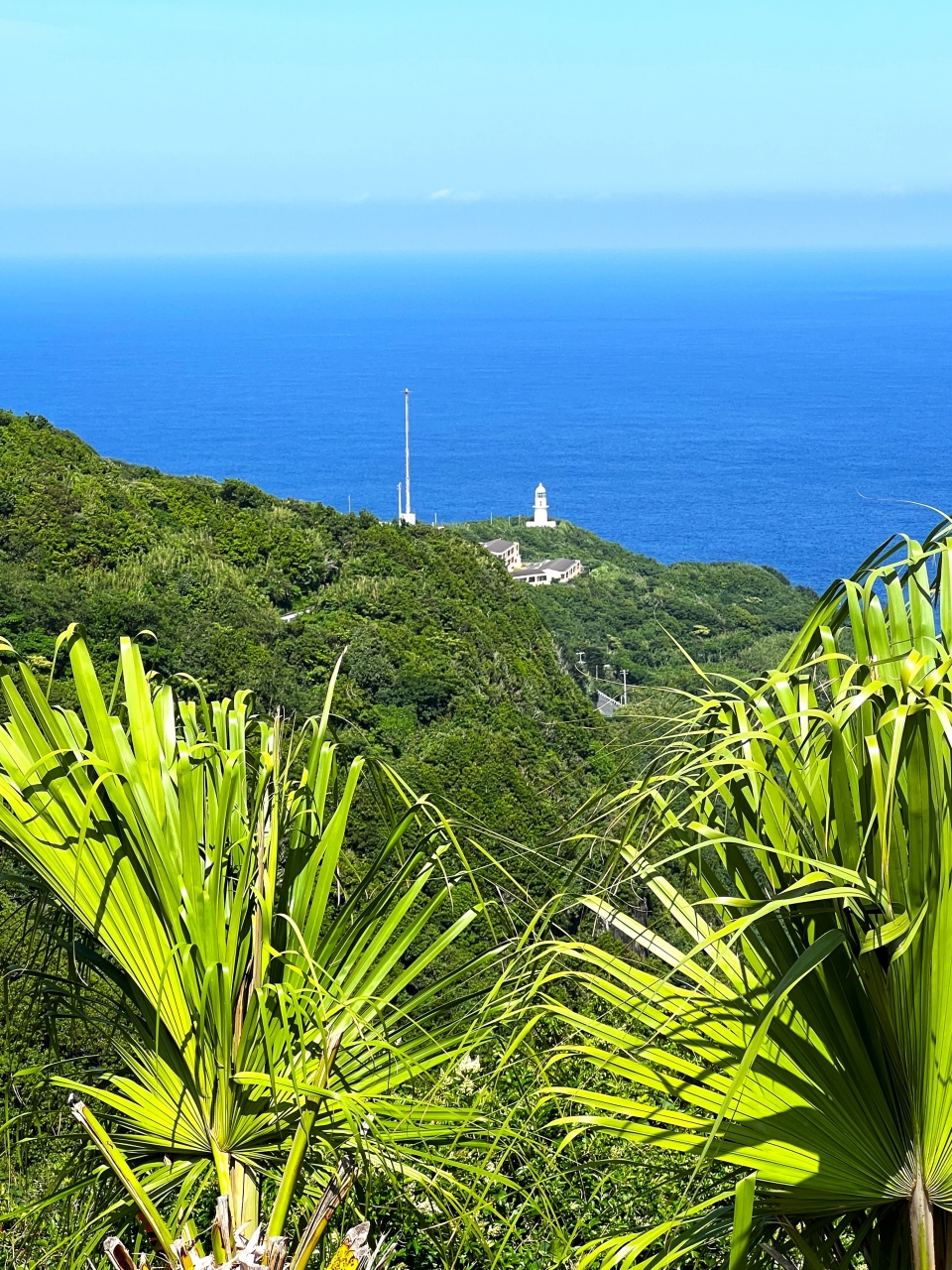 絶海の孤島 八丈島 ゆったり遊び 名古展望台 登龍峠展望台 八丈島 東京 の旅行記 ブログ By ペンギンパパさん フォートラベル