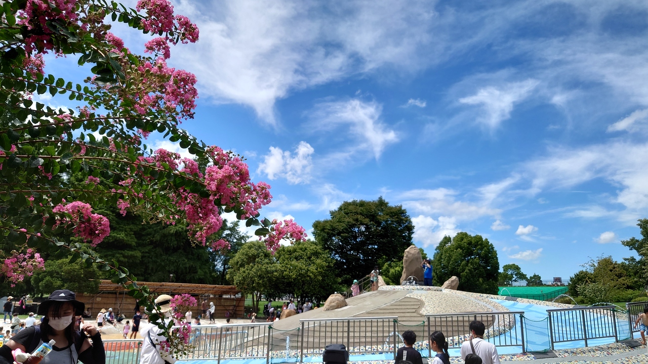 舎人公園ソリとじゃぶじゃぶ池と冒険の丘 22年8月 西新井 舎人 綾瀬 東京 の旅行記 ブログ By まんべんなくさん フォートラベル