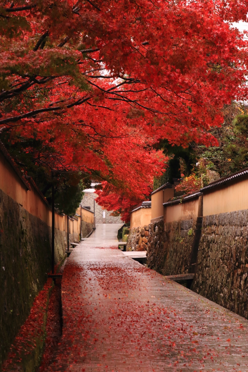 山口 紅葉めぐり 古江小路 覚苑寺 長府毛利邸 功山寺 長府庭園 下関 山口県 の旅行記 ブログ By ふーさん フォートラベル