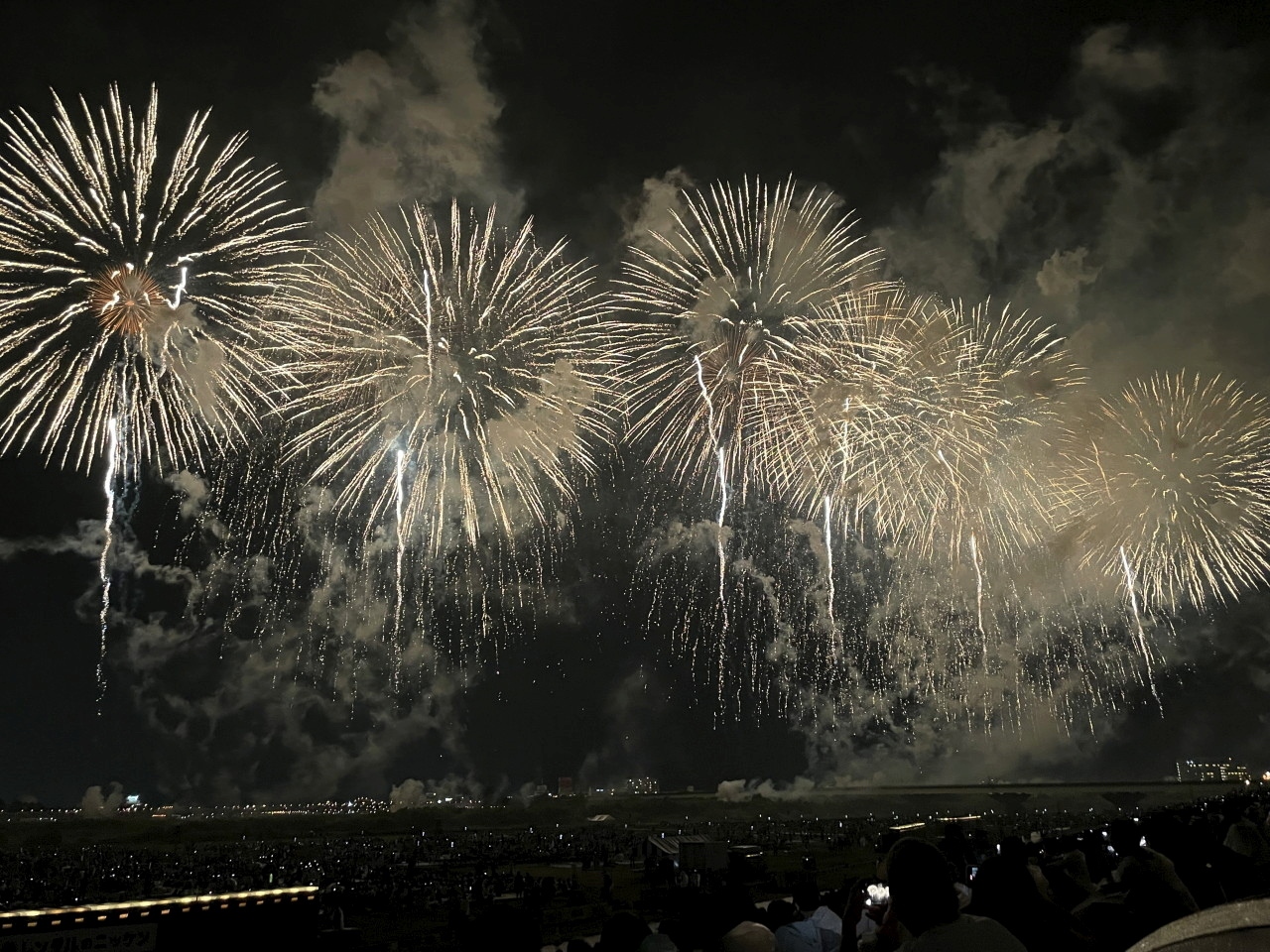 仔猫といっしょ計画 新潟旅行２０２２ ５日目 長岡花火大会編 長岡 寺泊 新潟県 の旅行記 ブログ By ジョニーさん フォートラベル