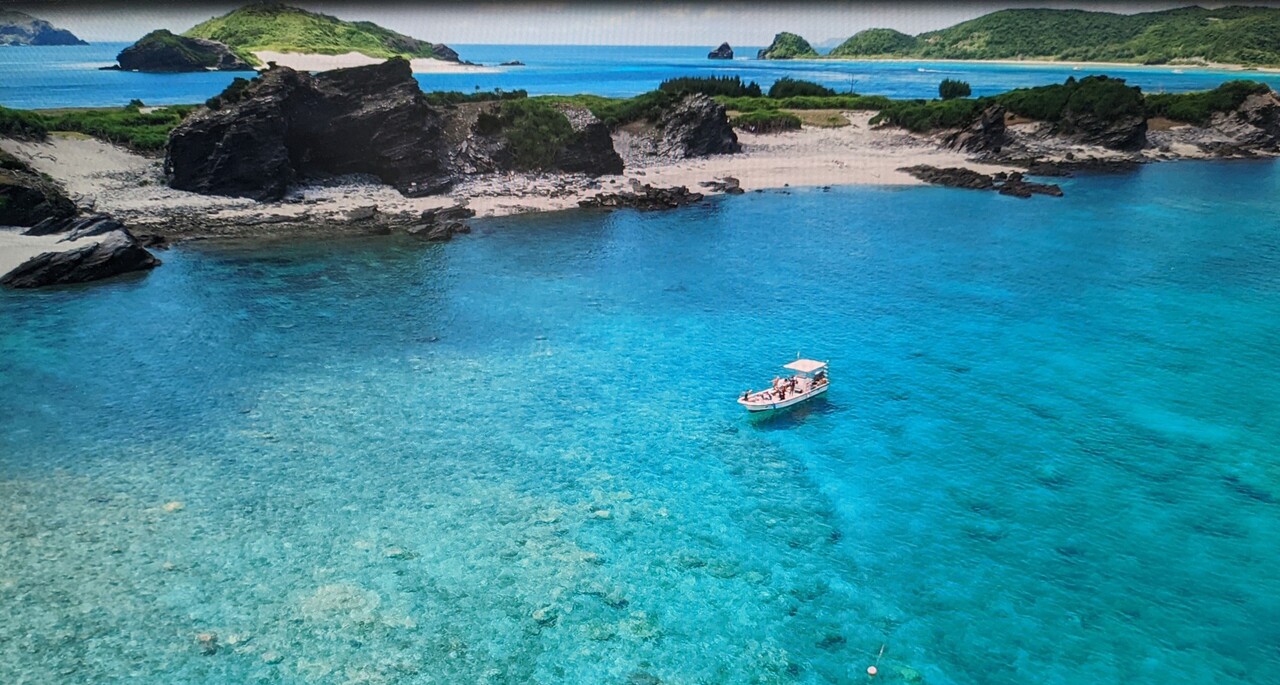 座間味島シュノーケリングと路線バスの旅 慶良間諸島 沖縄県 の旅行記 ブログ By Lemon7さん フォートラベル