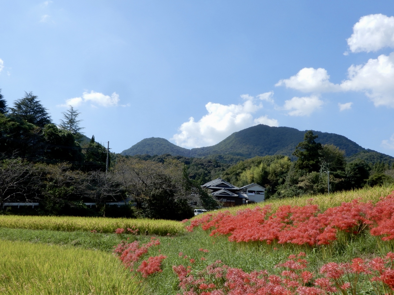 二上山の麓に咲く彼岸花 二上神社口 當麻寺 ひと駅さんぽ 御所 葛城 奈良県 の旅行記 ブログ By 豚のしっぽさん フォートラベル