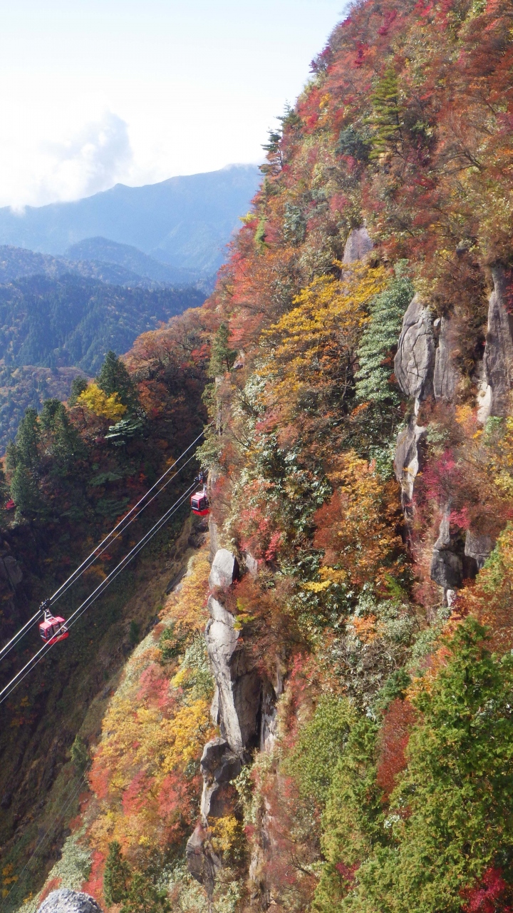 紅葉の御在所岳 湯の山温泉 御在所 三重県 の旅行記 ブログ By やまぼうずさん フォートラベル