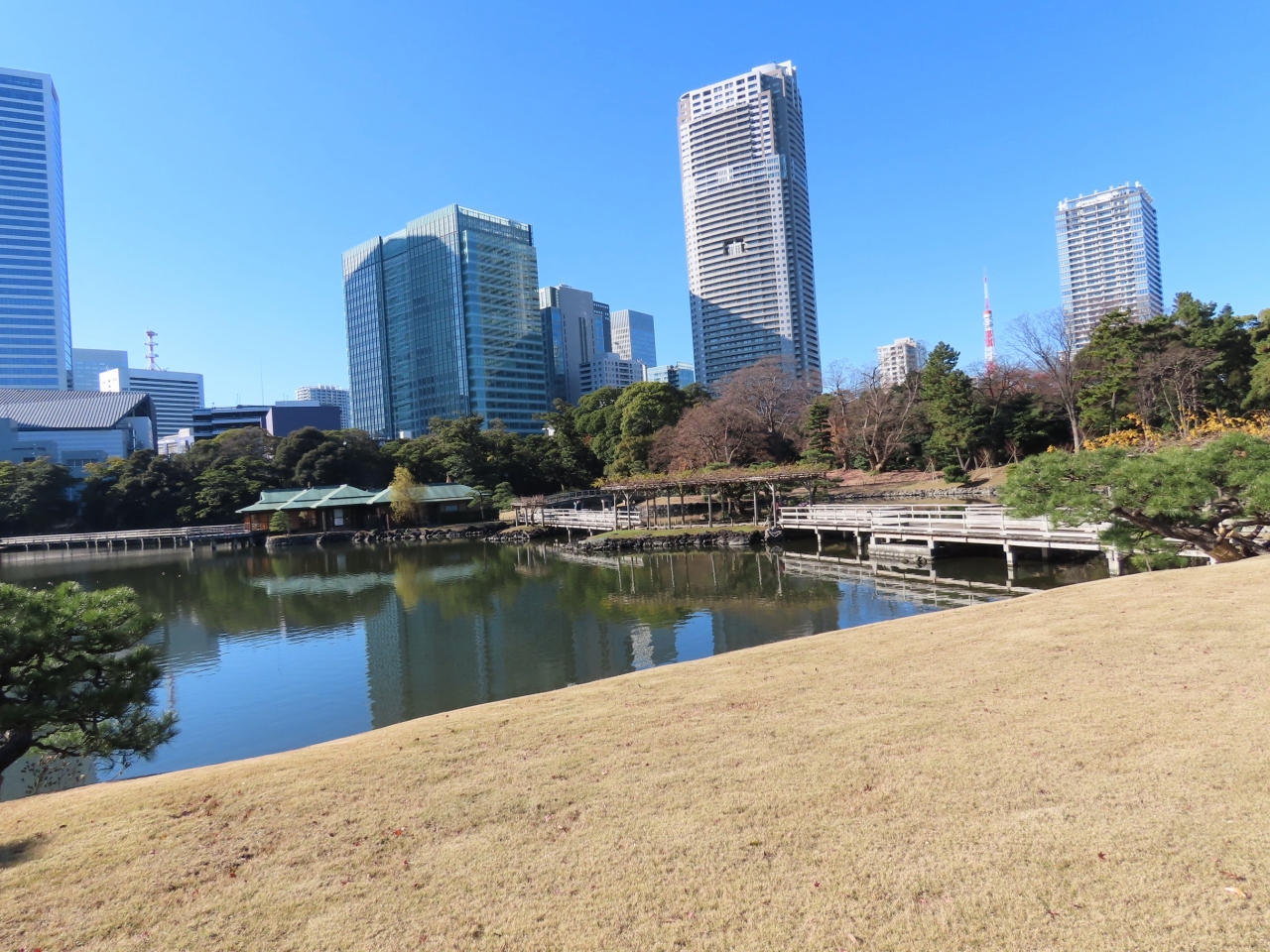 東京 浜離宮恩賜庭園 Hama Rikyu Gardens Chuo Ward Tokyo Japan 汐留 東京 の旅行記 ブログ By ちふゆさん フォートラベル