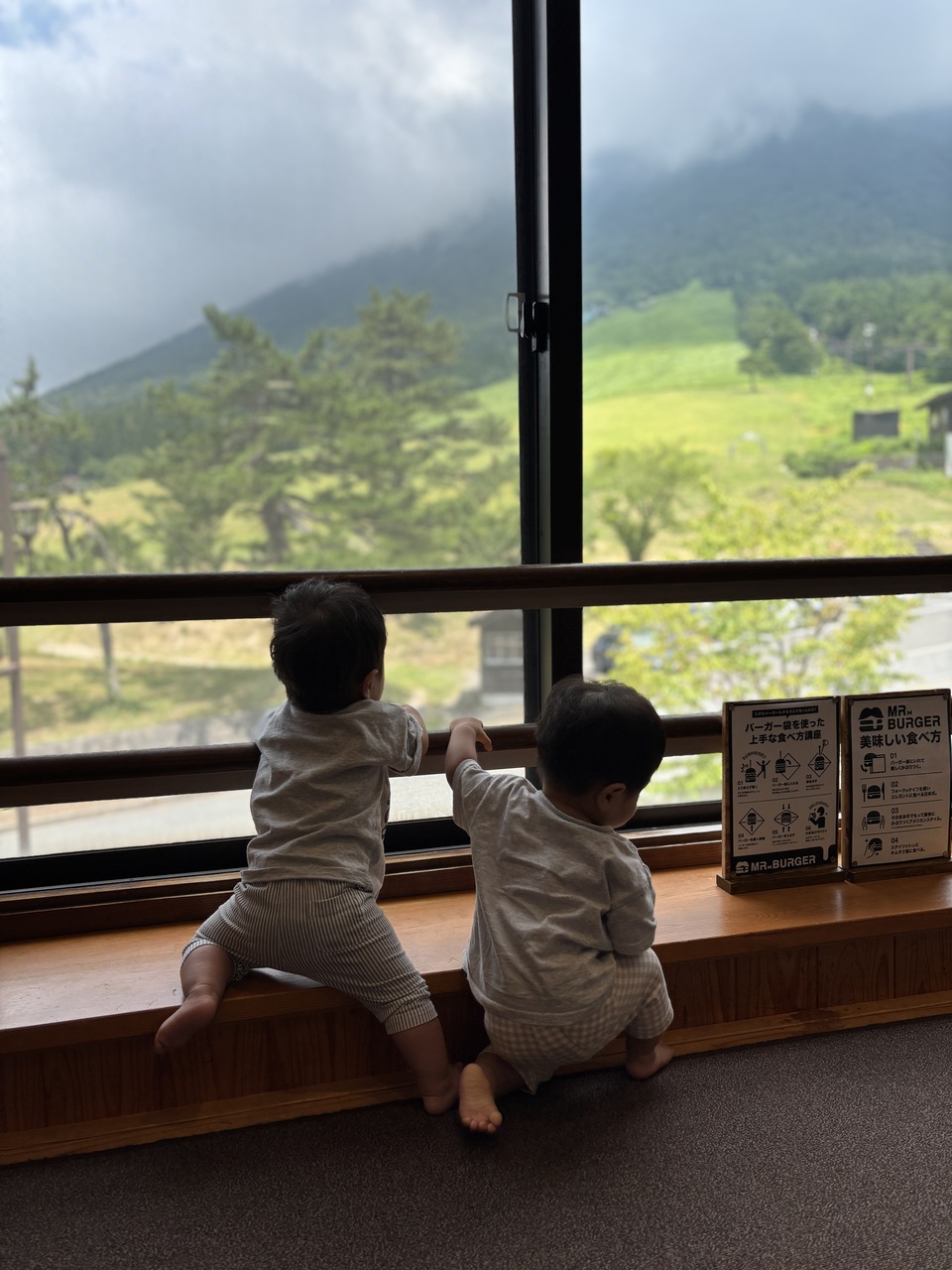 【鳥取・大山】子供と泊まる宿「エルモンテ＆キャンディハウス」～3歳と1歳双子の宿泊記～
