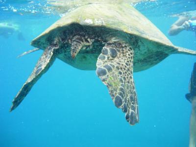 マウイ島の写真