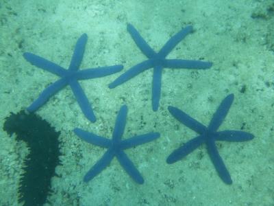 その他の観光地の写真