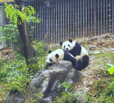 桂林の写真