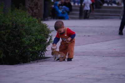 マラケシュの写真