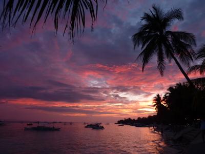 ボホール島の写真