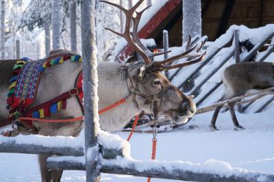 ロバニエミの写真