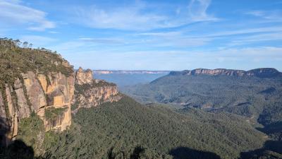 ブルーマウンテンズ ツアー クチコミ・アクセス・営業時間