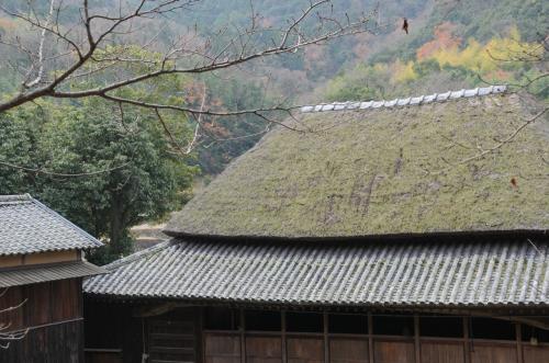 オリーブの島 小豆島と金毘羅の旅（３）　中山千枚田