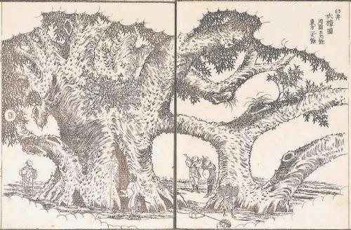 カルティエ 指輪 オークション | カルティエ 年代