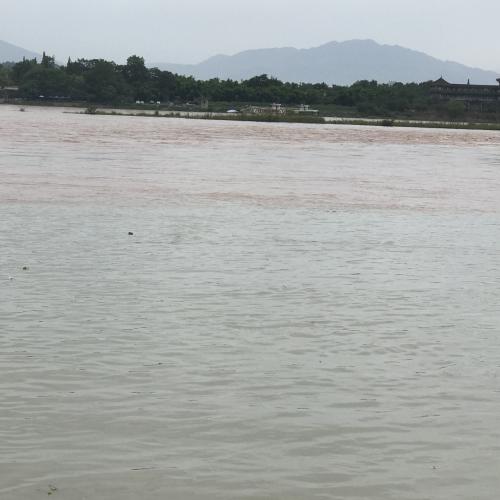 川の水が2色<br />こんな汚いのに泳いでいる人も