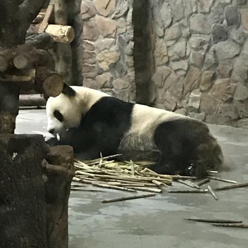 寝そべってボリボリ