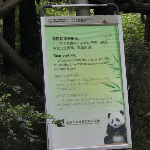 出産休暇