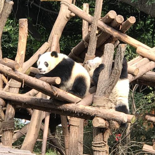 以下、写真で可愛いのをどうぞ<br />動画アップできないのが残念