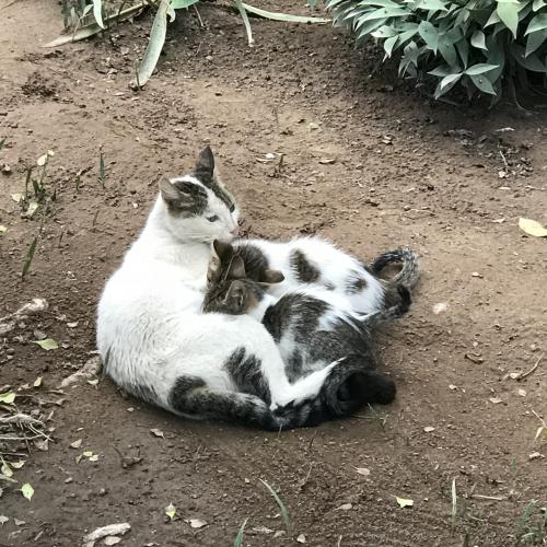 授乳中