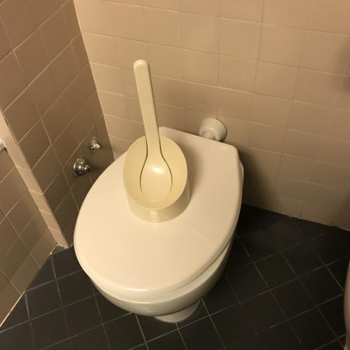 トイレ蓋の上にトイレ掃除用のブラシが置いてあったんだが・・・