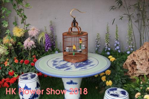 香港★2018香港花卉展览 Hong Kong Flower S