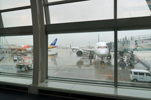 松山ー東京で乗ってきた朝一の機材Ｂ７８７。<br />羽田は雨