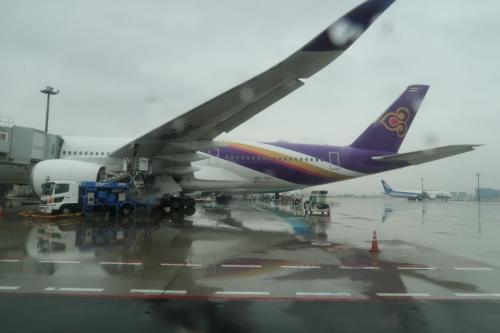 国際線エリアに着くと、タイ航空の機体が翼を広げています