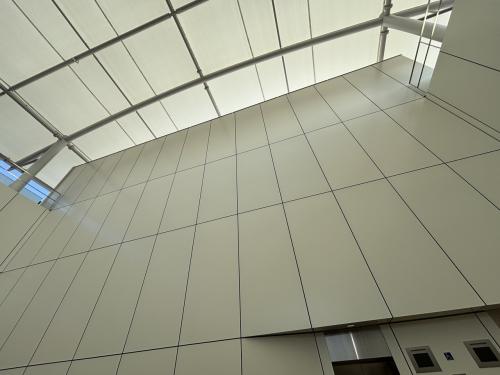 夢洲の松がなくなり