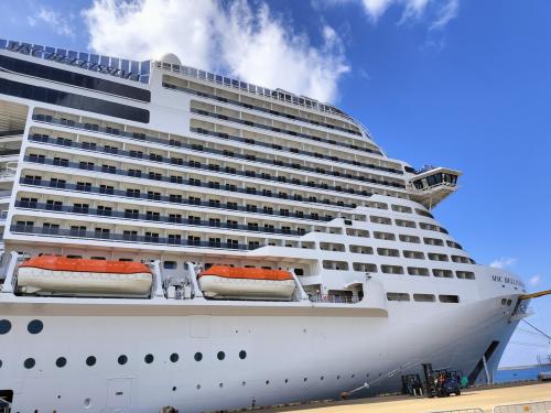 パスポートと事前に送られていたチケットを用意して、時間早めでしたけど、問題なかった。<br />天気も良くて良かった。それにしても凄い沢山の方が乗船するんですね、デカい船だ！