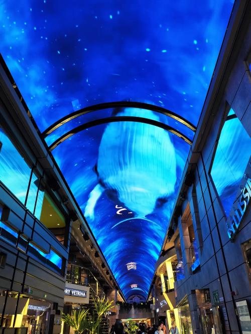 プロムナードの天井、いろいろなプロジェクションマッピングの画像がきれいでした。通路にはショッピングできるお店があるけど、我らには高くて敷居が跨げない