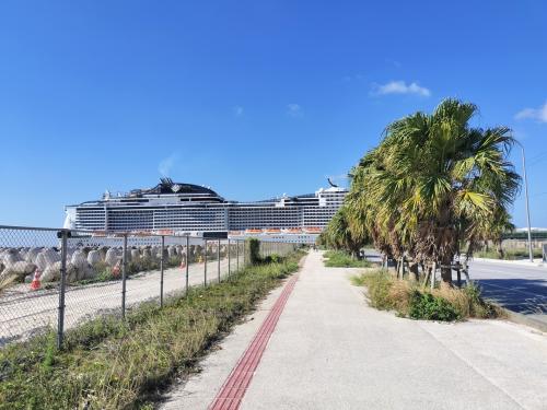 待つのが嫌いなケチ夫君、普段から１時間くらい平気で歩くから<br />石垣港新港地区旅客船ターミナルから730交差点まで徒歩40分<br />歩いちゃいました。日差しはあるけど爽やか、やはり夏とは違うね。<br /><br />でもスニーカーは必須ですね。