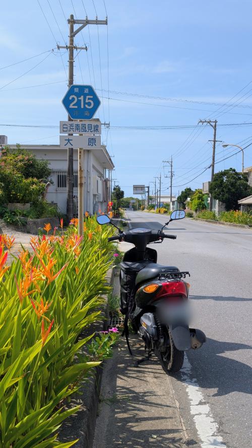 この日は大原港の周辺にある集落（大原、豊原、大富、古見）あたりでのんびり過ごしました！<br />西表島での滞在については続きの旅行記でご紹介します（近日公開予定）<br /><br />～～～～～～～～～～～～<br />なお、ここまでの原付道中は、以下の旅行記にて紹介しています！<br />【四国九州 原付旅】総集編：東京から四国4県九州7県を原付で巡る旅<br />https://4travel.jp/travelogue/12022056　<br />【原付旅】国道1号 東京→大阪 原付50ccタイムトライアル！<br />https://4travel.jp/travelogue/11989436<br />【原付旅】東海道の次は山陽道！① 大阪→神戸須磨→姫路<br />https://4travel.jp/travelogue/11999516<br />【原付旅】東海道の次は山陽道！② 姫路→倉敷 ～姫路城と知られざるドイツ風のお城へ！～<br />https://4travel.jp/travelogue/12000918<br />【原付旅】東海道の次は山陽道！③ 倉敷→尾道<br />https://4travel.jp/travelogue/11997202<br />【四国九州 原付旅】しまなみ海道を原付50ccで渡って四国へ！（前編）<br />https://4travel.jp/travelogue/11995218<br />【四国九州 原付旅】しまなみ海道を原付50ccで渡って四国へ！（後編）<br />https://4travel.jp/travelogue/12002455<br />【四国九州 原付旅】今治から峠を越えて道後温泉・松山へ！<br />https://4travel.jp/travelogue/12002567　<br />【四国九州 原付旅】四国カルストの絶景満喫！…のはずが結構過酷な四国山地<br />https://4travel.jp/travelogue/11995652<br />【四国九州 原付旅】日本屈指の"酷道"439号から清流・四万十川へ！<br />https://4travel.jp/travelogue/11995659<br />【四国九州 原付旅】清流・四万十川周遊＆高知名物カツオのたたきを堪能！<br />https://4travel.jp/travelogue/12003426<br />【四国九州 原付旅】高知から大歩危小歩危と祖谷渓へ！<br />https://4travel.jp/travelogue/12004183<br />【四国九州 原付旅】奥祖谷・剣山 ～あまりに急峻な山越えと、再びの"酷道"439号～<br />https://4travel.jp/travelogue/12004673<br />【四国九州 原付旅】四国東岸をぐるっと周遊！（讃岐→屋島→鳴門→海部）<br />https://4travel.jp/travelogue/11996370<br />【四国九州 原付旅】阿佐海岸鉄道DMVと並走＆室戸岬を経て高知へ！<br />https://4travel.jp/travelogue/12005149<br />【四国九州 原付旅】高知から仁淀川の渓谷を辿って愛媛・佐田岬半島へ！<br />https://4travel.jp/travelogue/11997055<br />【四国九州 原付旅】フェリーで四国から九州を目指すも、大雨&amp;足止めの危機！<br />https://4travel.jp/travelogue/11996861<br />【四国九州 原付旅】九州上陸も大雨直撃！晴れの日を待って大分県を南下！<br />https://4travel.jp/travelogue/11997036<br />【四国九州 原付旅】宗太郎峠越え～大分・宮崎県境の秘境駅巡り～<br />https://4travel.jp/travelogue/11997386　<br />【四国九州 原付旅】延岡から「神話街道」を通って高千穂へ！<br />https://4travel.jp/travelogue/12005522　<br />【四国九州 原付旅】平家落人の里・山奥深き椎葉村へ！<br />https://4travel.jp/travelogue/12005523　<br />【四国九州 原付旅】熊本→玉名→三池炭鉱→柳川<br />https://4travel.jp/travelogue/12005524　<br />【四国九州 原付旅】夕景美しい佐賀県を横断！<br />https://4travel.jp/travelogue/12016791　<br />【四国九州 原付旅】世界史で巡る平戸 ～オランダ商館、潜伏キリシタン教会、鄭成功 生誕の地～<br />https://4travel.jp/travelogue/12002259　<br />【四国九州 原付旅】佐世保から島原へ長崎県を南下！<br />https://4travel.jp/travelogue/12001685　<br />【四国九州 原付旅】フェリーで島原半島から天草へ！<br />https://4travel.jp/travelogue/12001674　<br />【四国九州 原付旅】天草でイルカウォッチング＆キリシタン教会巡り！<br />https://4travel.jp/travelogue/12001341　<br />【四国九州 原付旅】天草の海を堪能 &amp; 船で鹿児島県上陸！<br />https://4travel.jp/travelogue/12017782　<br />【四国九州 原付旅】東京から3000km超、ついに枕崎へ！！<br />https://4travel.jp/travelogue/12001126　<br /><br />【奄美沖縄 原付旅】奄美群島周遊の最初のフェリーで喜界島へ！<br />https://4travel.jp/travelogue/12006489　<br />【奄美沖縄 原付旅】美しい海とさとうきびの楽園・喜界島を原付で周遊！<br />https://4travel.jp/travelogue/12006575　<br />【奄美沖縄 原付旅】フェリーあまみ 喜界島→奄美大島（名瀬）<br />https://4travel.jp/travelogue/12006745　<br />【奄美沖縄 原付旅】美しい海と自然の奄美大島を原付で周遊！（前編：東部）<br />https://4travel.jp/travelogue/12007499　<br />【奄美沖縄 原付旅】奄美大島の美しい海とマングローブ林を原付で周遊！（中編：中部）<br />https://4travel.jp/travelogue/12014898　<br />【奄美沖縄 原付旅】美しい海と自然の奄美大島を原付で周遊！（後編：西部）<br />https://4travel.jp/travelogue/12018883　<br />【奄美沖縄 原付旅】奄美群島3島目！徳之島を原付で周遊<br />https://4travel.jp/travelogue/12014372　<br />【奄美沖縄 原付旅】クイーンコーラルプラス 徳之島→沖永良部島<br />https://4travel.jp/travelogue/12007767　<br />【奄美沖縄 原付旅】美しい海と歴史豊かな沖永良部島を原付で周遊！<br />https://4travel.jp/travelogue/12008000<br />【奄美沖縄 原付旅】フェリーあけぼの 沖永良部島→与論島（マルエーフェリー）<br />https://4travel.jp/travelogue/12008002<br />【奄美沖縄 原付旅】360°海が綺麗な与論島！（1日目）<br />https://4travel.jp/travelogue/12008097<br />【奄美沖縄 原付旅】360°海が綺麗な与論島！（2日目）<br />https://4travel.jp/travelogue/12020374<br />【奄美沖縄 原付旅】クイーンコーラルクロス 与論島→沖縄本島（本部）<br />https://4travel.jp/travelogue/12020480<br /><br />【沖縄八重山 原付旅】本島北部周遊 ～ちゅら海 &amp; やんばるの森を快走！～<br />https://4travel.jp/travelogue/12008530<br />【沖縄八重山 原付旅】沖縄の幹線・国道58号を北から南へ縦断！<br />https://4travel.jp/travelogue/12008553<br />【沖縄八重山 原付旅】那覇から石垣へ原付を輸送！<br />https://4travel.jp/travelogue/12008503　<br />【沖縄八重山 原付旅】石垣島の東西南北を原付で周遊！<br />https://4travel.jp/travelogue/12010022　<br />【沖縄八重山 原付旅】貨客フェリーに原付載せて西表島へ！<br />https://4travel.jp/travelogue/12009345<br /><br />※この他、西表島、鳩間島、波照間島、与那国島の旅行記を順次投稿予定！<br /><br />～～関連旅行記① 本州横断～～<br />今回は東海道山陽ルートで東京から西へ行きましたが、以前行った本州横断原付旅では甲州街道・中山道ルートで京都へ至り、さらに山陰の海沿いを通って下関まで行きました！<br />それぞれの旅行記は順を追って公開しています！<br /><br />Day 1. 東京→諏訪湖<br />https://4travel.jp/travelogue/11988338<br />Day 2. 諏訪大社→阿智村 ～南アルプスの"酷道"152号を快走！～<br />https://4travel.jp/travelogue/11988488<br />Day 3. 阿智村→滋賀県草津 ～中山道の宿場町と歴史巡り～<br />https://4travel.jp/travelogue/11990757<br />Day 4-5. 琵琶湖→京都→天橋立<br />https://4travel.jp/travelogue/11991065<br />Day 6. 天橋立→伊根→城崎・余部→鳥取<br />https://4travel.jp/travelogue/11992623<br />Day 7. 鳥取砂丘→ハワイ→松江<br />https://4travel.jp/travelogue/11992657<br />Day 8. 松江→備後落合→出雲大社 ～木次線沿いを中心に出雲神話の舞台巡り～<br />https://4travel.jp/travelogue/11993344<br />Day 9. 出雲→石見銀山→萩<br />https://4travel.jp/travelogue/11993689<br />Day. 10 萩→下関＆門司<br />https://4travel.jp/travelogue/11994094<br />Day. 11 門司→東京 フェリー回送<br />https://4travel.jp/travelogue/11994795<br /><br />～～関連旅行記② 東北周遊～～<br />【東北 原付旅】国道4号 東京→青森 原付50ccタイムトライアル！（1日目）<br />https://4travel.jp/travelogue/12016427　<br />【東北 原付旅】東北歴史紀行 ～平泉周遊 &amp; 大河ドラマロケ施設へ～<br />https://4travel.jp/travelogue/12017477　<br />【東北 原付旅】ついに国道4号終点・青森到達！…しかし思わぬ事態に<br />https://4travel.jp/travelogue/12017633　<br />※この続きの旅行記も順次投稿予定！<br />