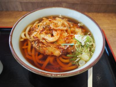 今朝はサービスエリアでかきあげうどんを食べました