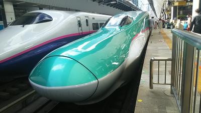 東京駅<br /><br />新幹線や特急列車を見るとワクワクします！<br />ついつい 写真を撮ってしまい、家人に置いて行かれます(^^;