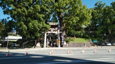 北岡神社の鳥居の横にある大きなクスノキの木が夫婦の楠