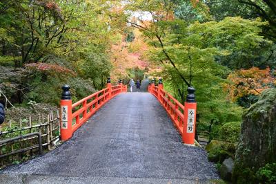 続いて泉涌寺のお隣にある今熊野観音寺に寄りました。
こちらは拝観無料でした。
赤い橋がいい感じです。
（今熊野観音寺）