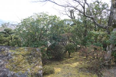 箱根美術館　美しい日本庭園♪