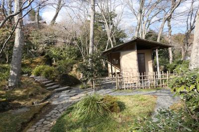 箱根強羅公園　美しい冬の風景♪