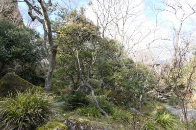 箱根強羅公園　美しい冬の風景♪