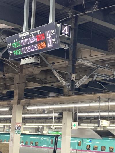 乗車券は都区内をでると<br />途中下車の旅ができるルール<br /><br />湘南新宿ラインで大宮まで行き<br />下車<br />駅前の飲食店で昼食を食べ<br />やまびこ乗車<br /><br />せっかくの紅葉シーズン<br />観光内容を考えたが<br />磐梯吾妻スカイラインの観光バスには<br />曜日が合わず乗れない<br />会津若松や只見線、大内宿は時間がかかり<br />温泉旅館のチェックイン時間までに戻るのは<br />厳しい<br />途中下車して宇都宮で餃子を食べる案は<br />宇都宮在住の友人に何も観光するところはない<br />餃子はどこで食べても同じだよと言われた<br /><br />結局<br />久しぶりの温泉にゆっくり入ろうと<br />直行することに