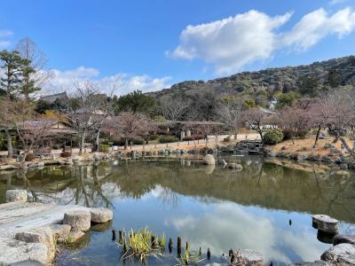 円山公園は癒しの場。