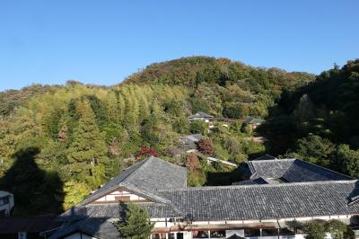 伊豆長岡温泉　八の坊♪.