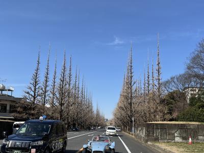 地下鉄半蔵門線「青山一丁目駅」で降りて少し歩くと明治神宮外苑のいちょう並木が見えてきました。<br />でもなんか寂しい・・この季節のいちょうはこんなものですね～