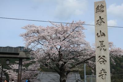 真言宗豊山派総本山長谷寺

創建は奈良時代だが古すぎて詳細不明とか。　当初は東大寺（華厳宗）の
末寺だったが、平安時代中期には興福寺（法相宗）の末寺となり、16世紀
以降は新義真言宗の流れをくむ寺院となり、その後真言宗豊山派が成立
したのだそう。　平安時代以降は貴族などが泊まりがけで長谷寺を参る
「初瀬詣」がブームとなり、源氏物語や枕草子、更級日記など多くの
古典文学に登場します。

そういえば、昔話の「わらしべ長者」は長谷寺の門前から話が始まる
とか。
